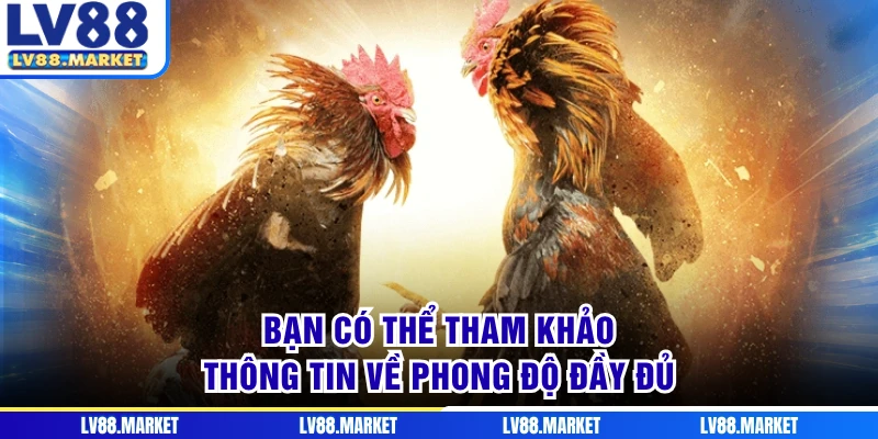 Bạn có thể tham khảo thông tin về phong độ đầy đủ
