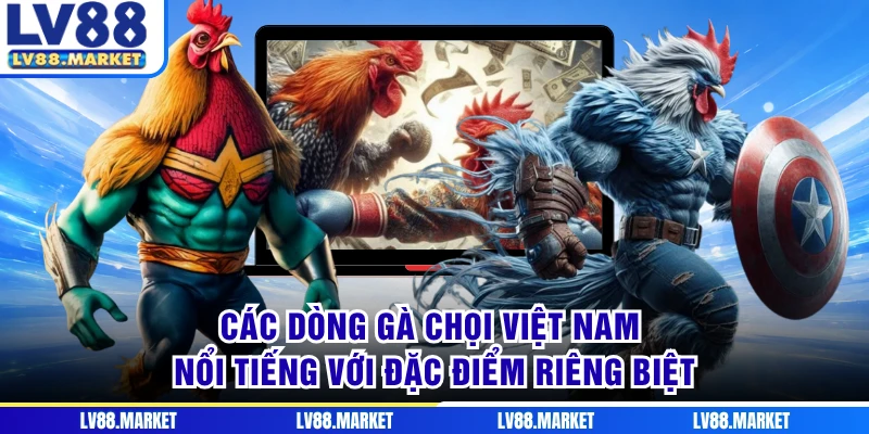 Các dòng gà chọi Việt Nam nổi tiếng với đặc điểm riêng biệt