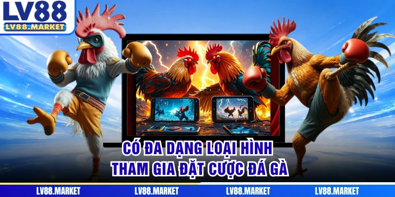 Có đa dạng loại hình tham gia đặt cược đá gà